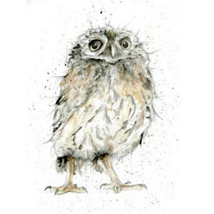 Cover art for Sarah Boddy Fur and Feather Little Owl Single Card