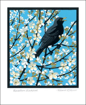 Cover art for Art Angels Blackbird Single Greeting Card