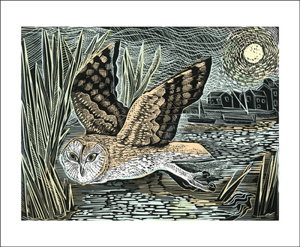 Cover art for Art Angels Marsh Owl Single Greeting Card