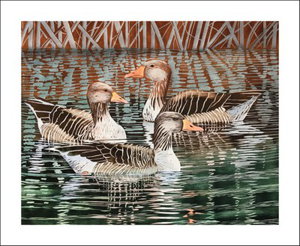 Cover art for Art Angels Greylags Ducks Greeting Card
