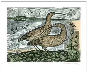 Cover art for Two Curlews on the Deben Angela Harding Single Greeting Card