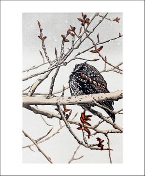 Cover art for Art Angels Owl Waiting Single Greeting Card
