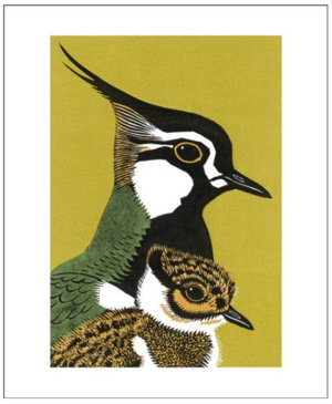 Cover art for Art Angels Robert Gillmor Pewit and Son