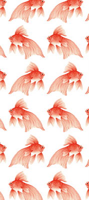 Cover art for The Art File Tissue Sheets Pack Goldfish