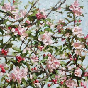 Cover art for Dry Red Press Apple Blossom Single Greeting Card