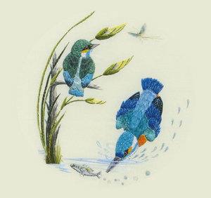 Cover art for Col Cards Embroidery Kingfisher Single Card