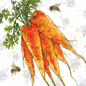 Cover art for Beetanicals Carrots Sinlge Card