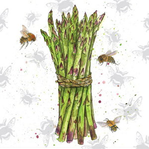 Cover art for Beetanicals Asparagus Single Card