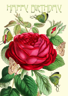 Cover art for Madame Treacle Rose Single Birthday Card