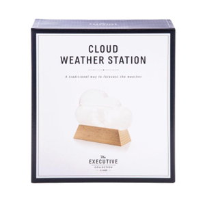 Cover art for Cloud Weather Station The Executive Collection
