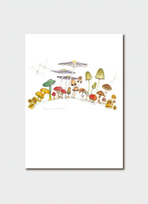 Cover art for Minky Grant Mushrooms of Australia Single Card