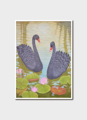 Cover art for Matthew Sansom Australian Black Swans Single Greeting Card
