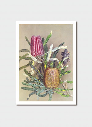Cover art for Ellis Rowan Menzies Banksia Single Greeting Card