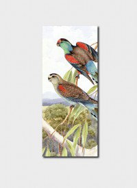 Cover art for Neville William Cayley Single Bookmark