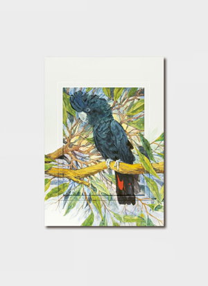 Cover art for Glo Hill Cockatoo Single Greeting Card