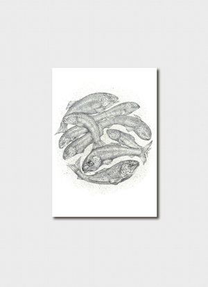 Cover art for Sandi Rigby Fish Print Single Greeting Card