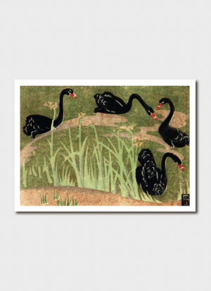Cover art for Dorrit Black Black Swans Single Greeting Card