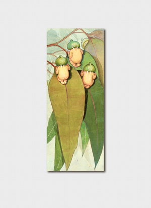 Cover art for May Gibbs Gumnut Babies Single Bookmark