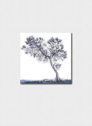 Cover art for Sandi Rigby Desert Tree Single Greeting Card