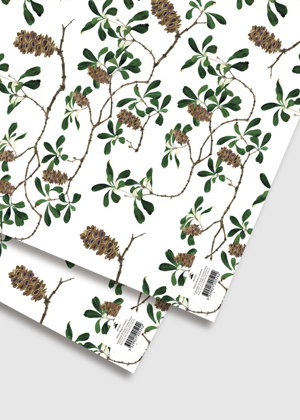 Cover art for Gabby Malpas Banksia Single Wrapping Sheet