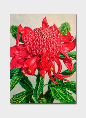 Cover art for Fiona Craig Red Waratah Beauty