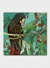 Cover art for Melski McVee Redtailed Black Cockatoo Single Card