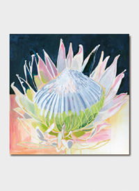Cover art for Rennie Bartsch Protea Greeting Card