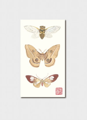 Cover art for Gabby Malpas Moth Cicada Single Greeting Card