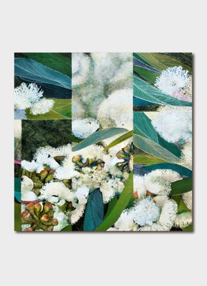 Cover art for Flowering Snow Gum Single Greeting Card