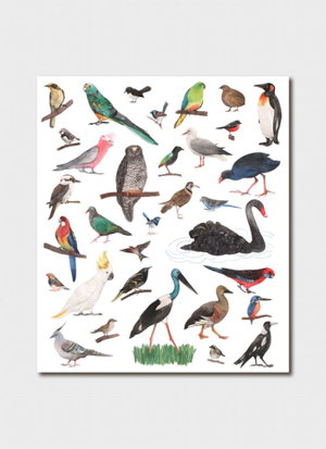 Cover art for Natalie Ryan Birds of Australia Single Greeting Card
