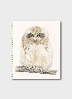 Cover art for Sandi Rigby Boobook Owl Blank Notebook