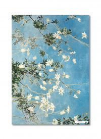 Cover art for Cressida Campbell Flannel Flowers Wrapping Paper