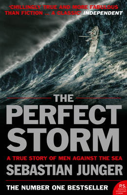 Cover art for The Perfect Storm