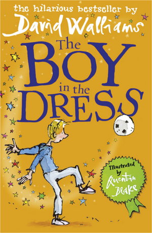 Cover art for Boy in the Dress