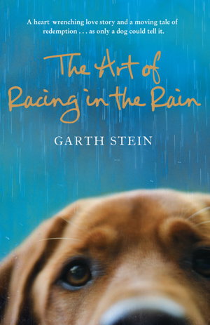 Cover art for The Art of Racing in the Rain