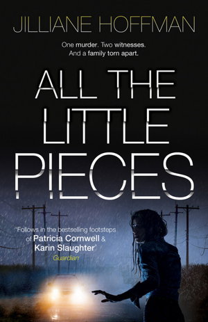 Cover art for All the Little Pieces