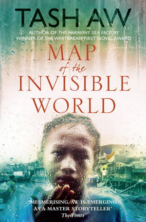 Cover art for Map of the Invisible World
