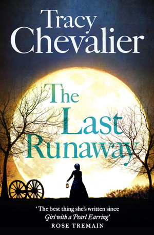 Cover art for The Last Runaway