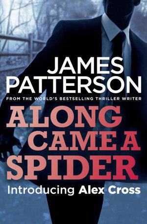 Cover art for Along Came a Spider