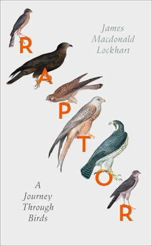 Cover art for Raptor