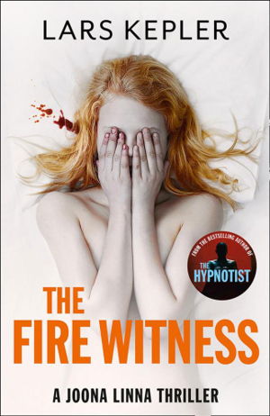 Cover art for The Fire Witness