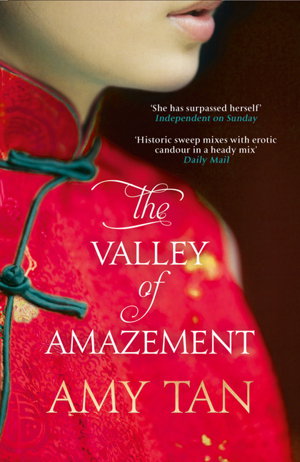 Cover art for The Valley of Amazement