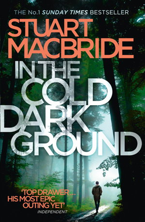 Cover art for In the Cold Dark Ground (Logan McRae Book 10)