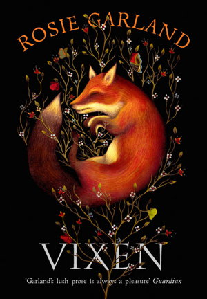 Cover art for Vixen