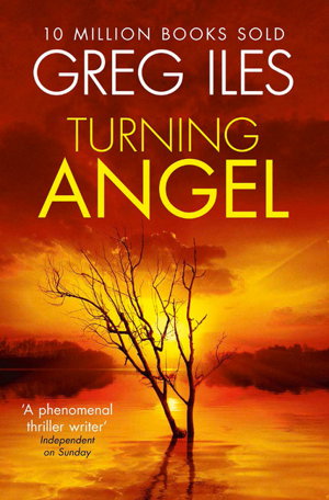 Cover art for Turning Angel