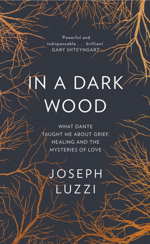 Cover art for In a Dark Wood