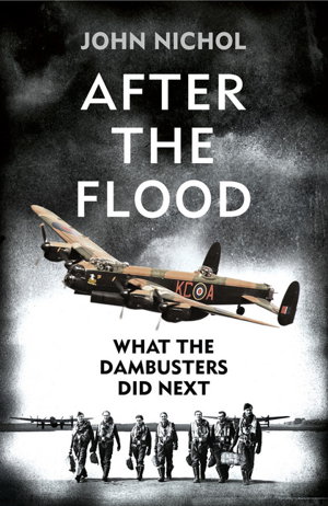 Cover art for After the Flood