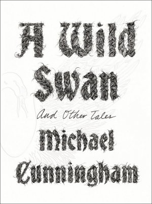 Cover art for A Wild Swan