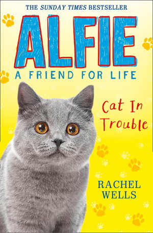 Cover art for Alfie Cat In Trouble