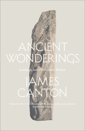 Cover art for Ancient Wonderings
